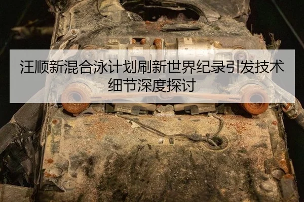 汪顺新混合泳计划刷新世界纪录引发技术细节深度探讨